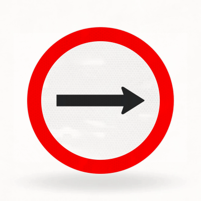 Placa de Trânsito Refletiva – Sentido de Circulação da Via Pista (R-24a)